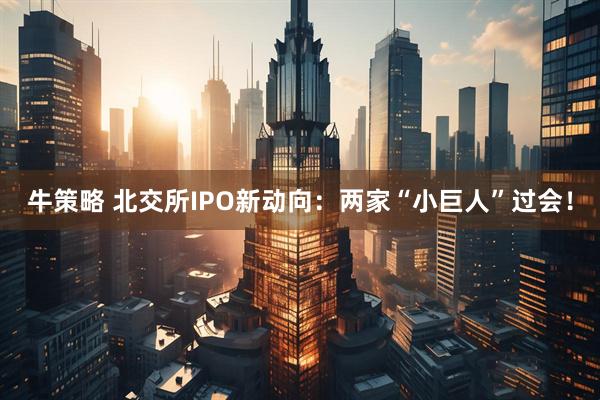 牛策略 北交所IPO新动向：两家“小巨人”过会！
