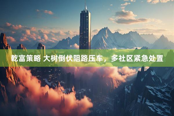 乾富策略 大树倒伏阻路压车，多社区紧急处置