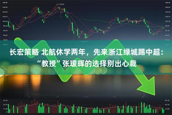 长宏策略 北航休学两年，先来浙江绿城踢中超：“教授”张瑷晖的选择别出心裁
