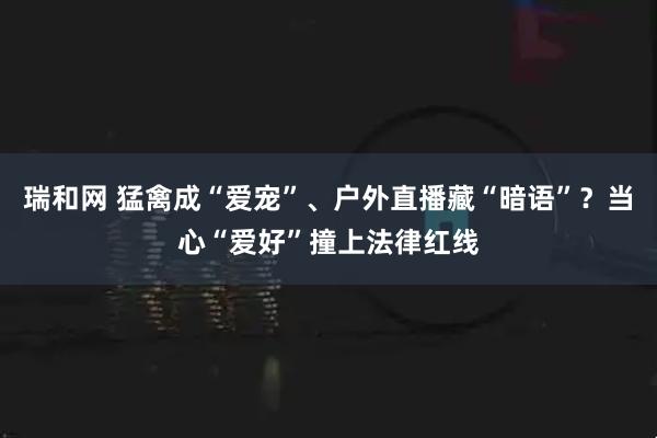 瑞和网 猛禽成“爱宠”、户外直播藏“暗语”？当心“爱好”撞上法律红线