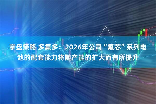 掌盘策略 多氟多：2026年公司“氟芯”系列电池的配套能力将随产能的扩大而有所提升